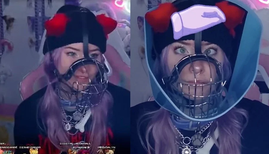 Стримерша считает себя собакой:  живёт в клетке и лает на стриме