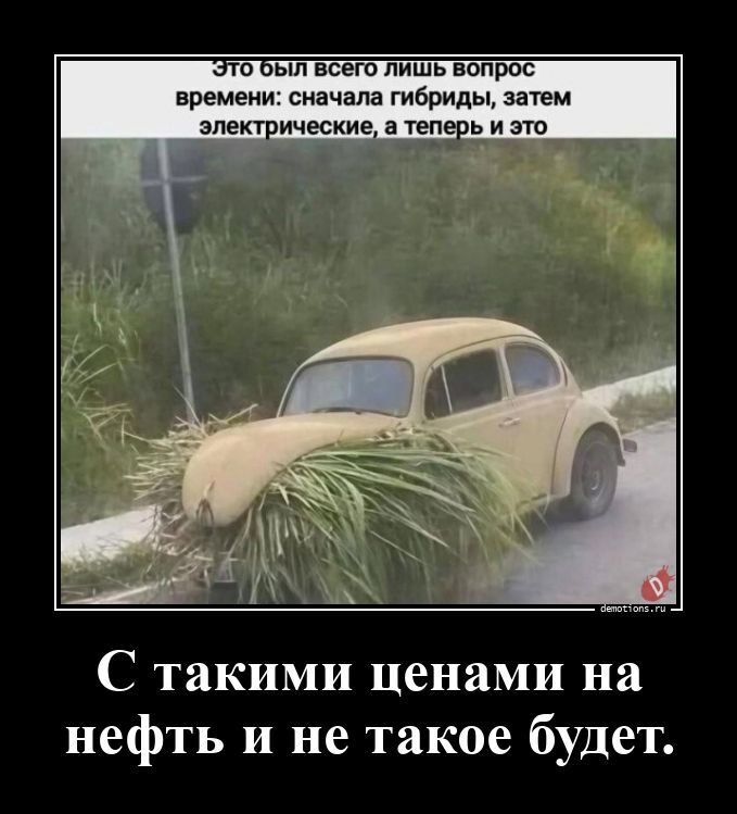Забавные демотиваторы для поднятия настроения