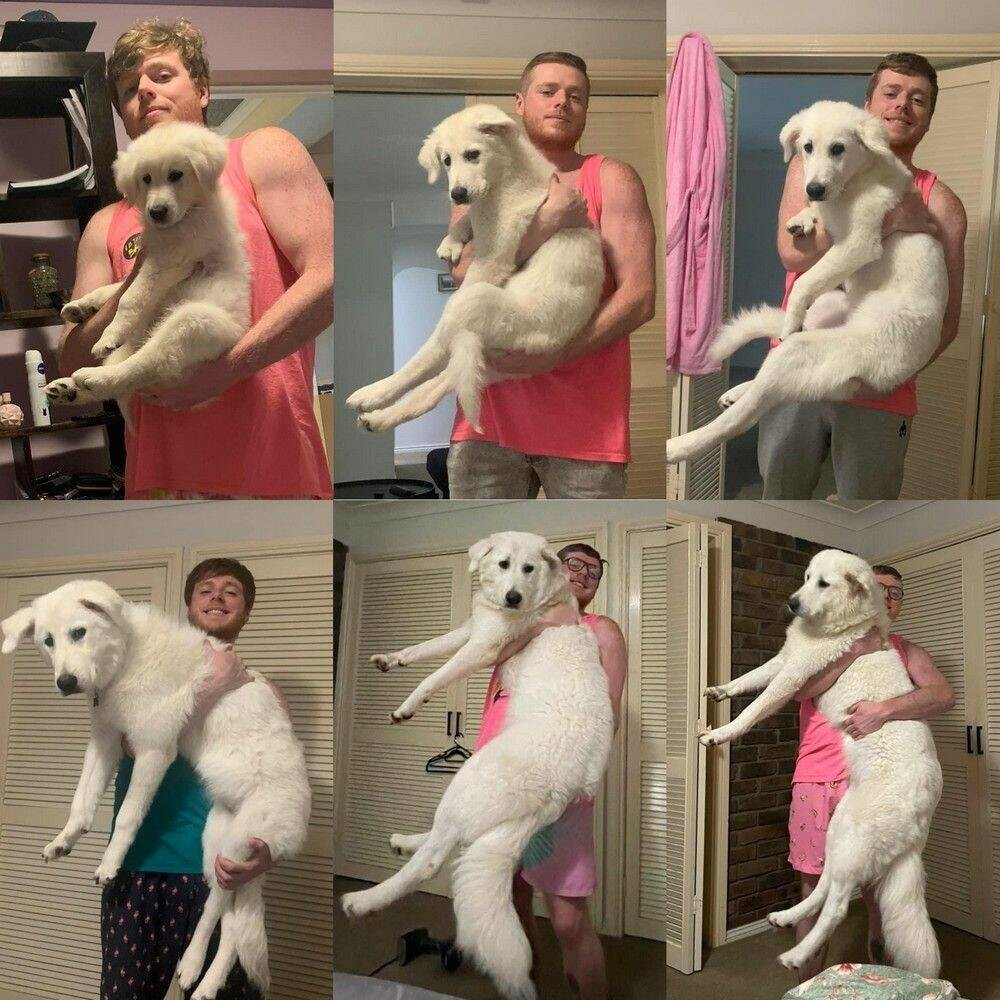 На общую тему&nbsp;