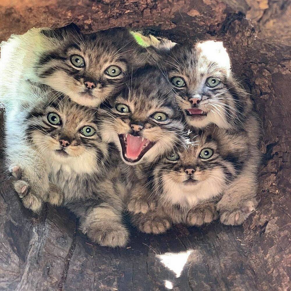 На общую тему&nbsp;