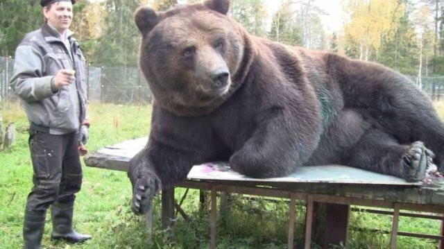Намешалось