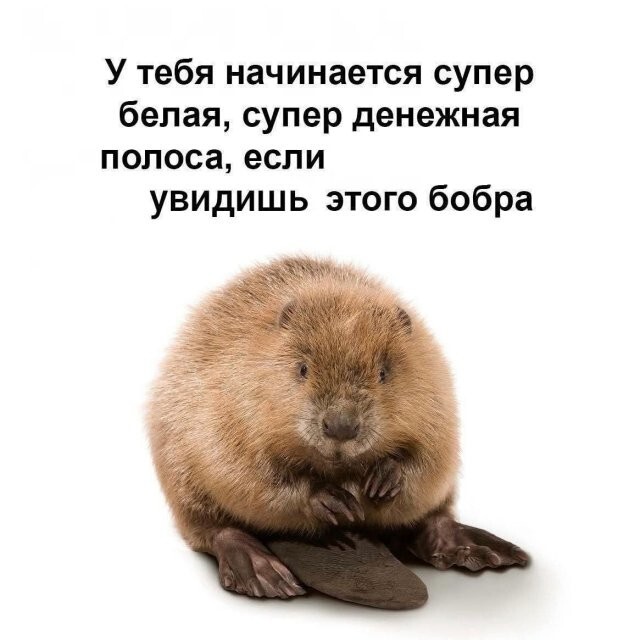 Намешалось