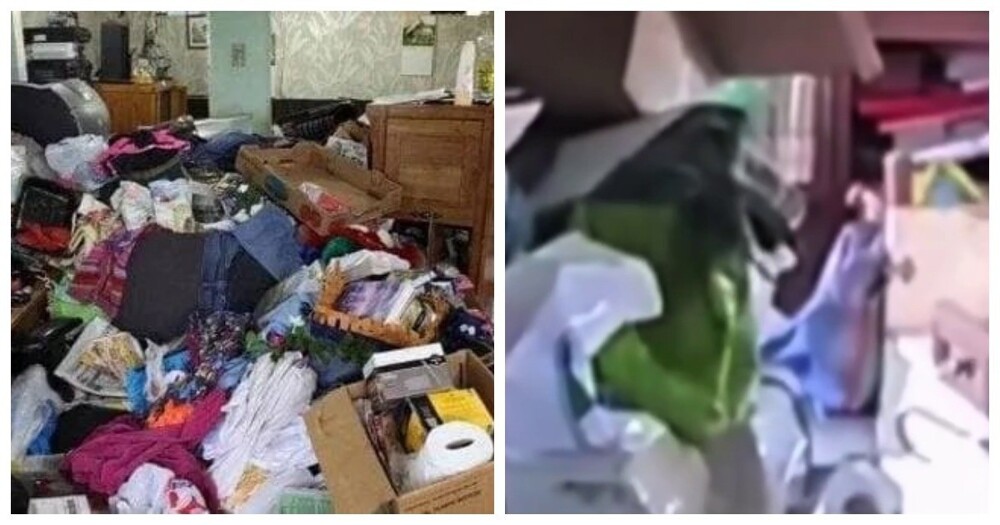 Итальянка погибла под горами своих посылок с маркетплейсов