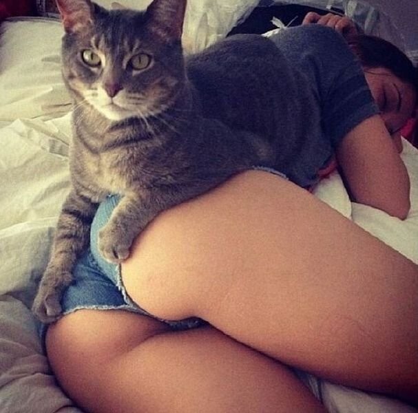 &nbsp;Намешалось&nbsp;