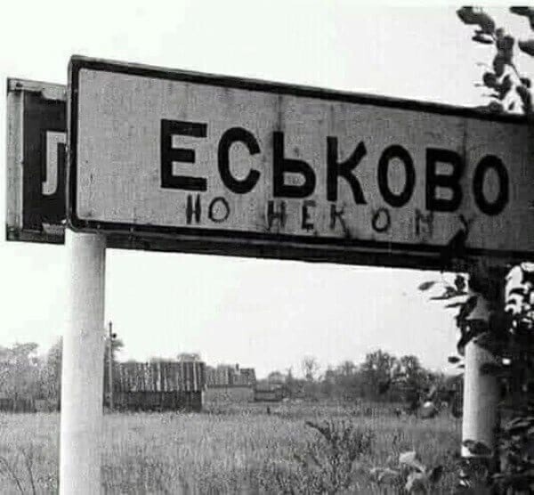 Большая тарелка улыбатора