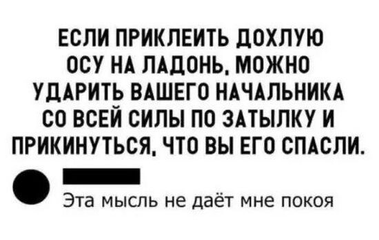 Большая тарелка улыбатора