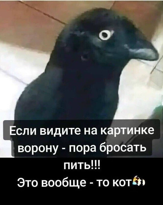 Большая тарелка улыбатора