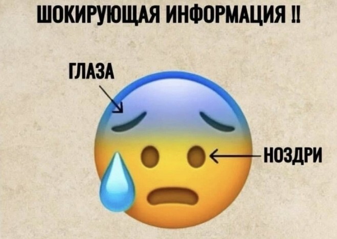 Большая тарелка улыбатора