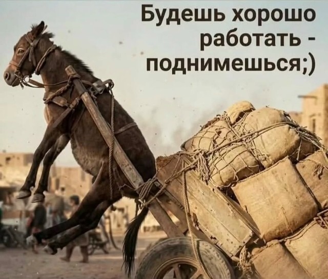 Большая тарелка улыбатора