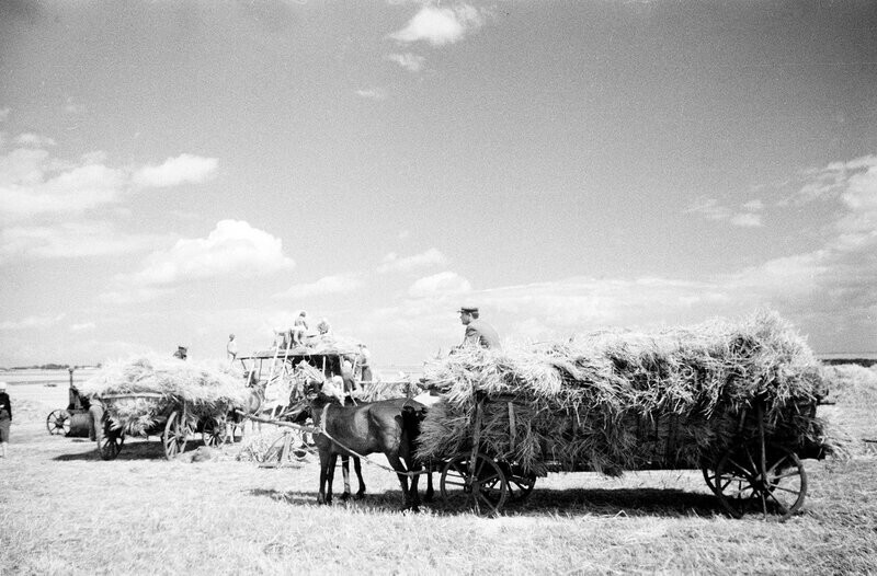 Интересные фотографии времен СССР