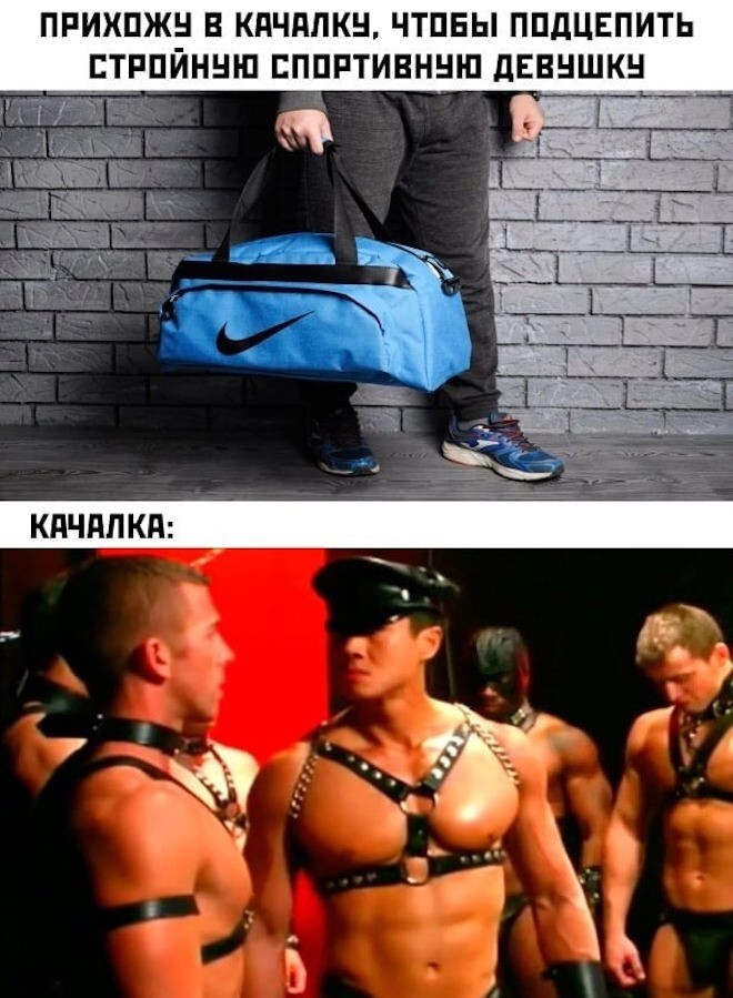 Смешные картинки