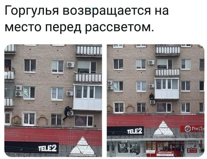 Смешные картинки