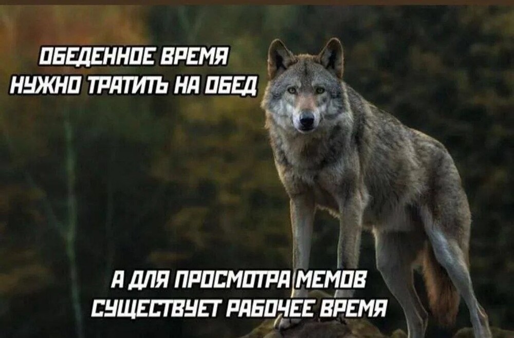 Смешные картинки