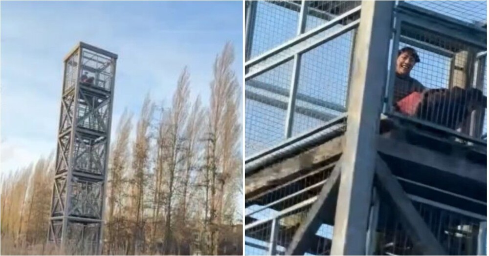 Пара решила «насладиться высотой» по‑своему