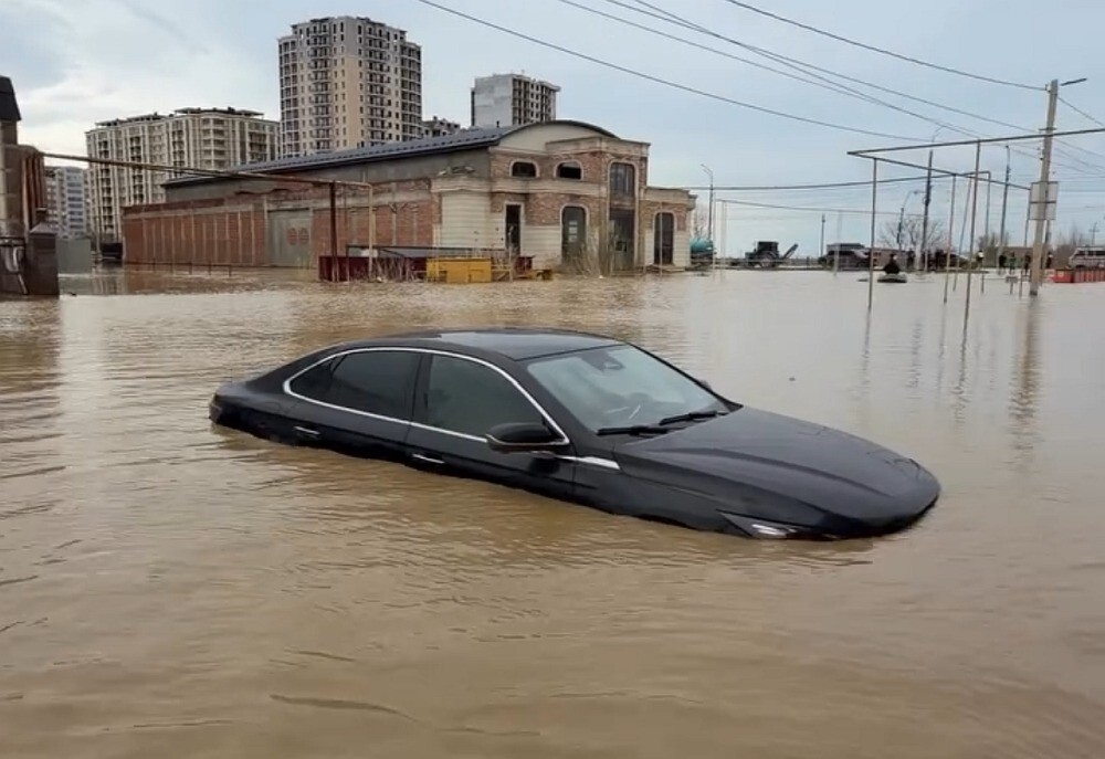 "Садясь в автомобиль не забудь отряхнуть ноги"