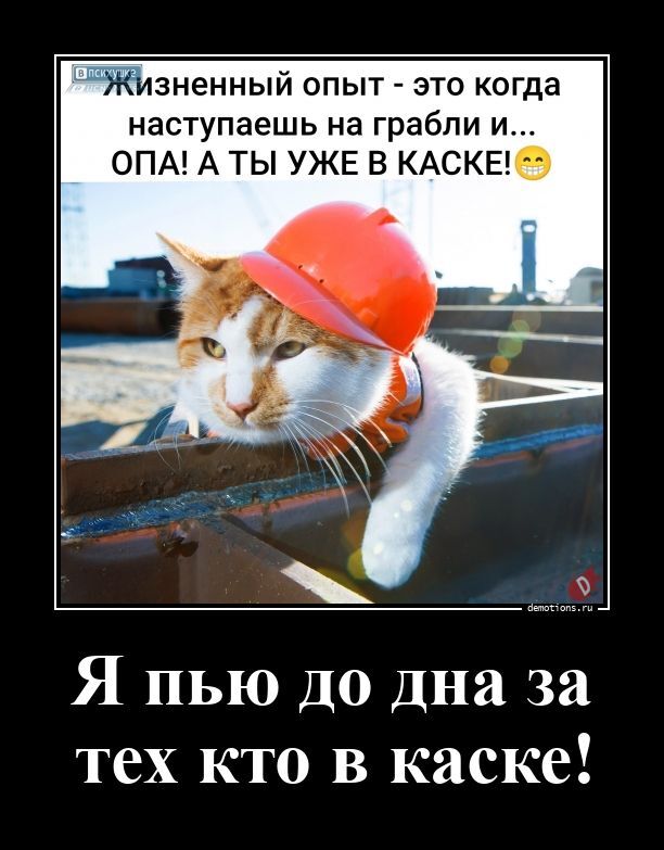 Прикольные демотиваторы для поднятия настроения