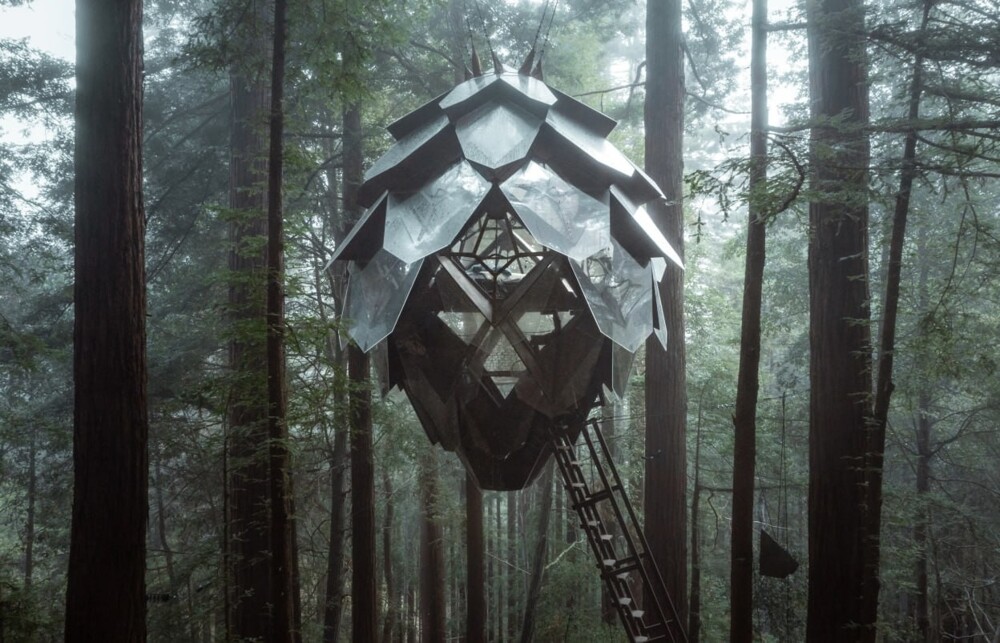 Дом на дереве в виде сосновой шишки
