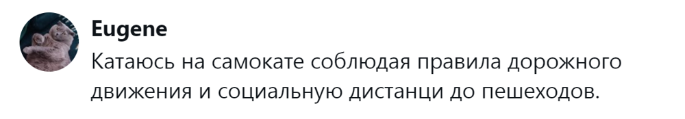 4. Движение - жизнь