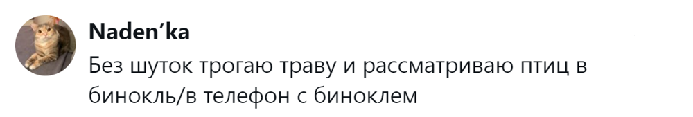17. Орнитолог-любитель