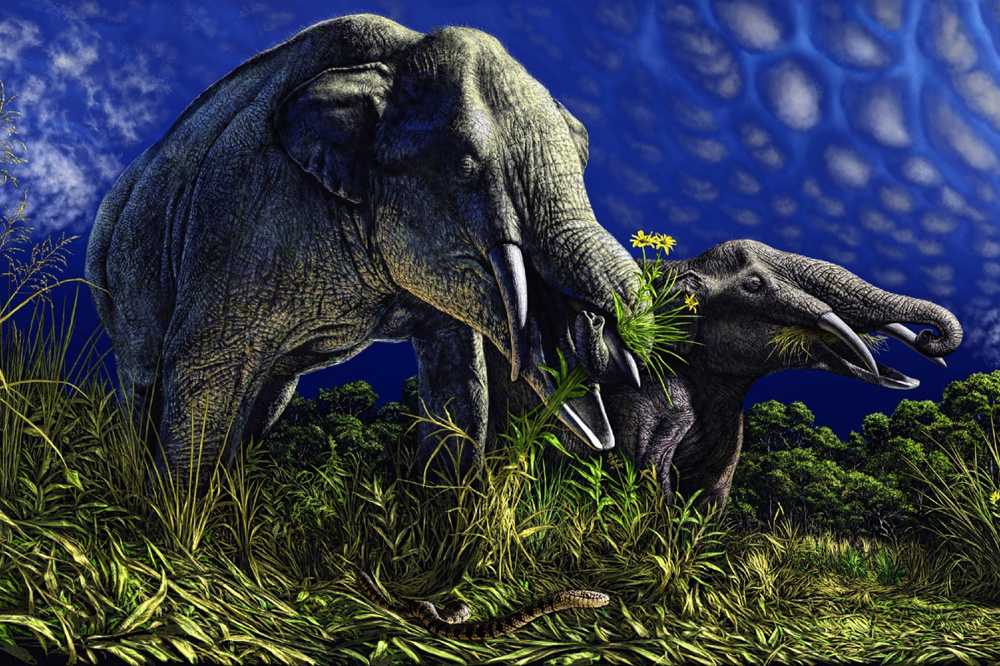 5 интересных вымерших слонов