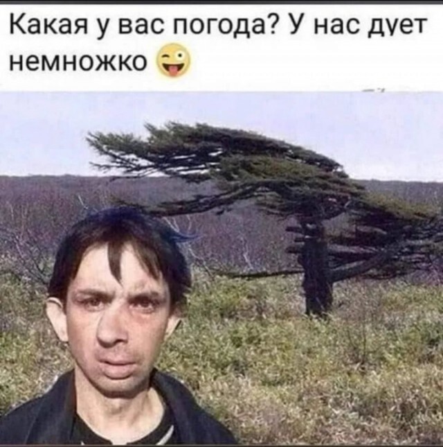 25 приколов