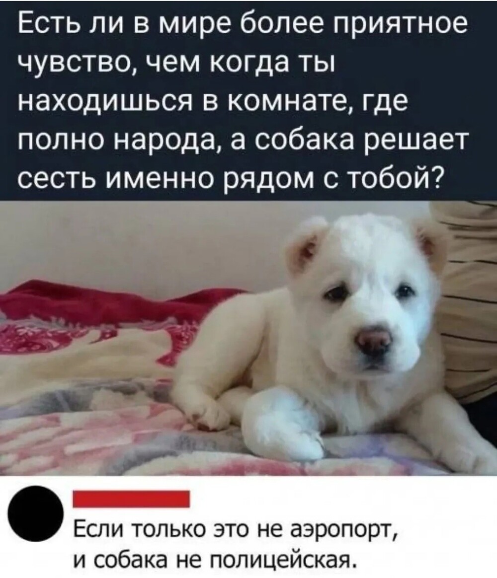 25 приколов