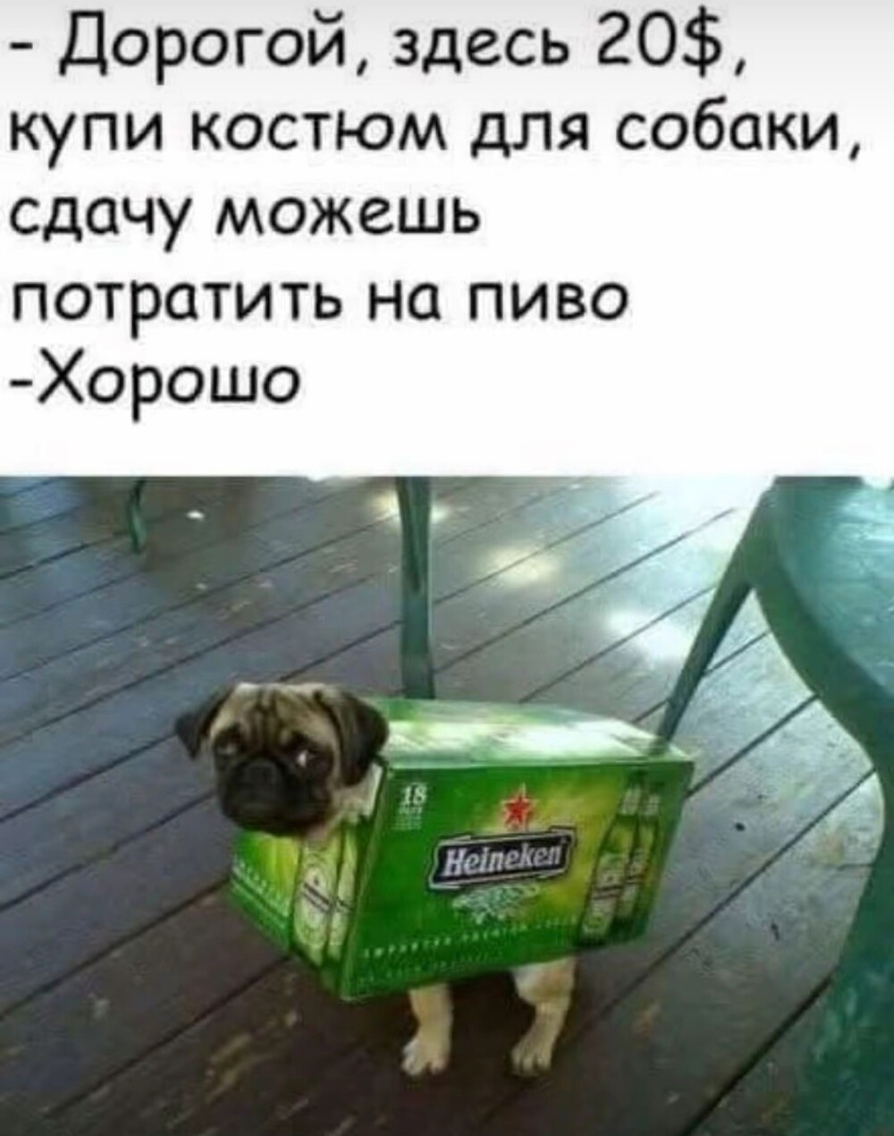 25 приколов