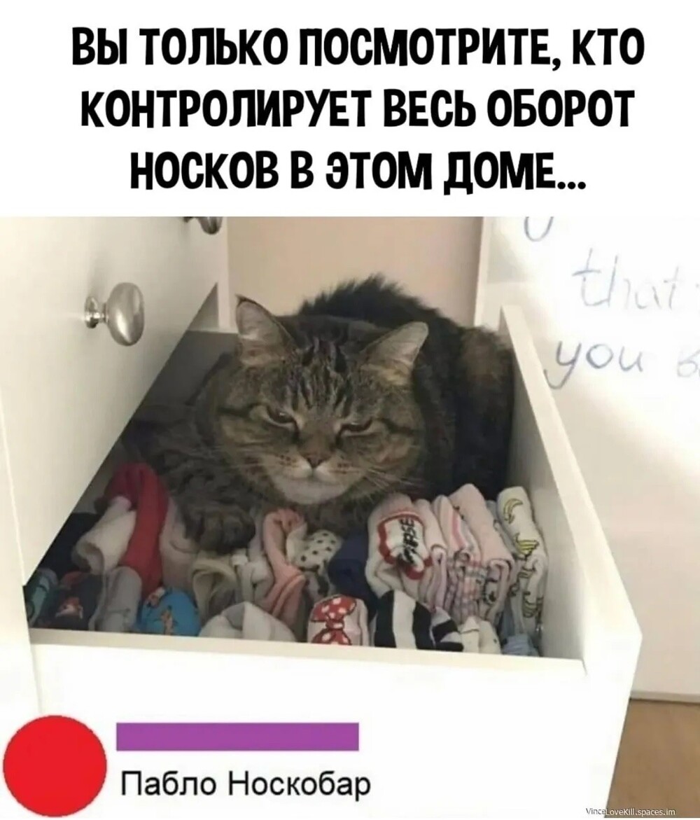 25 приколов