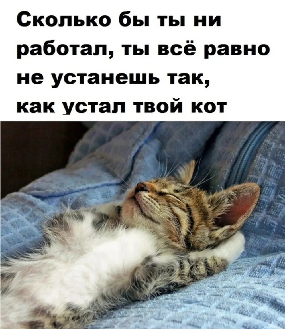 25 приколов