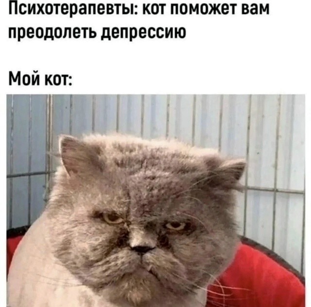 25 приколов
