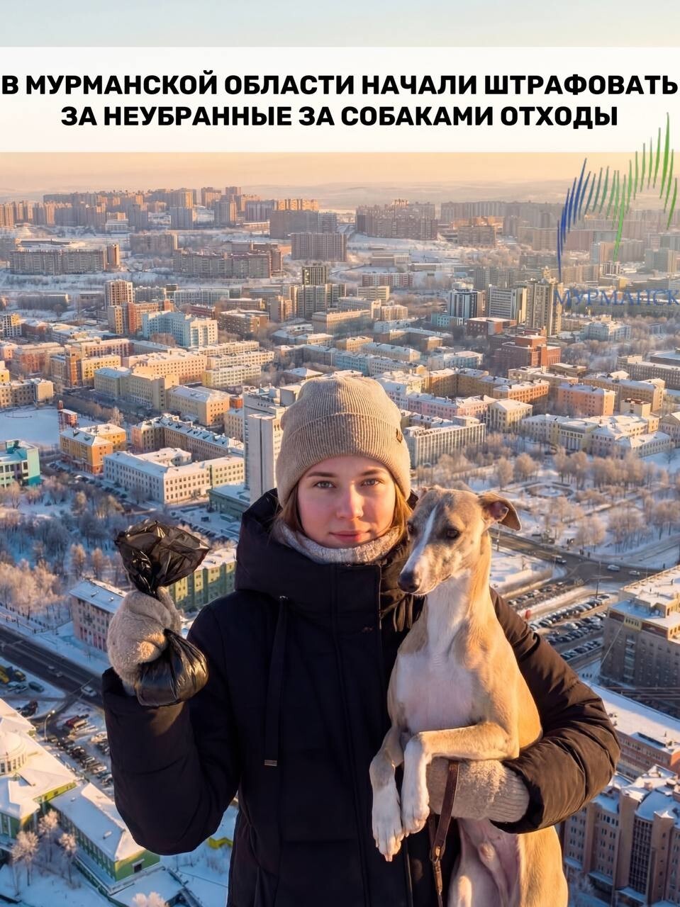 В Мурманской области начали штрафовать за неубранные за собаками отходы