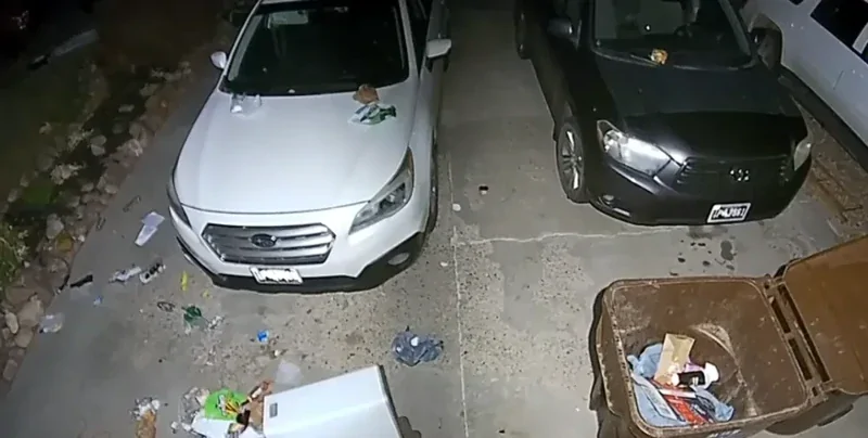 Камера наблюдения помогла раскрыть курьёзный инцидент у дома