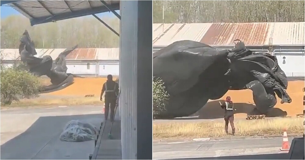 Пакет устроил шоу во дворе