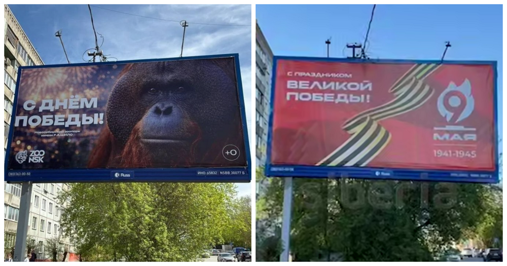 В Новосибирске зоопарк поздравил горожан баннером с орангутаном и вызвал скандал
