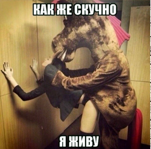 1a9cc0989f510ce27403b64b42f1d24b.jpg