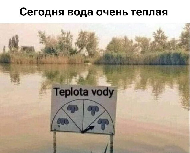8321030818dd47715ca05b60d56084bf.jpg