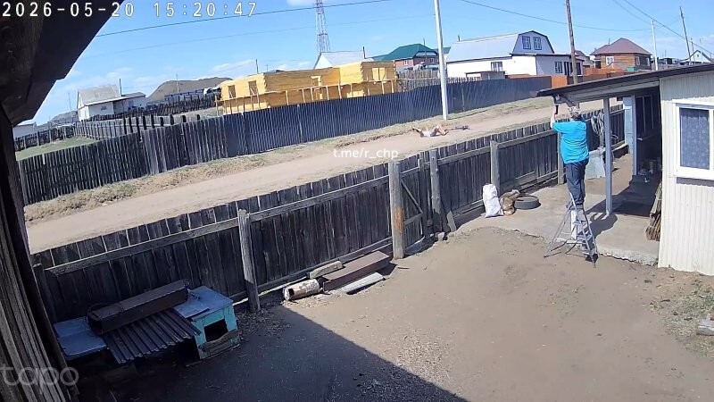 Уличная камера сняла идеальную реакцию мужчины на упавшего самокатчика