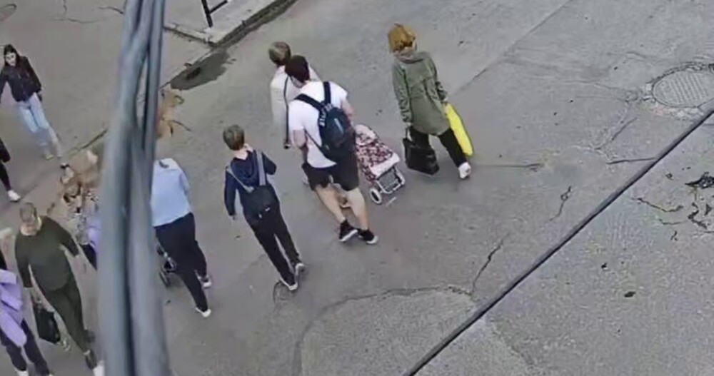 Косуля сбила с ног пенсионерку