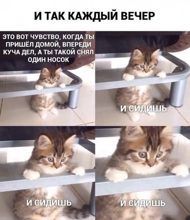 Скрины из соцсетей%20%20%20%20%20%20%20%20%20%20%20%20