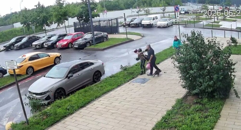 Конфликт в подмосковном дворе из-за собачьего вопроса