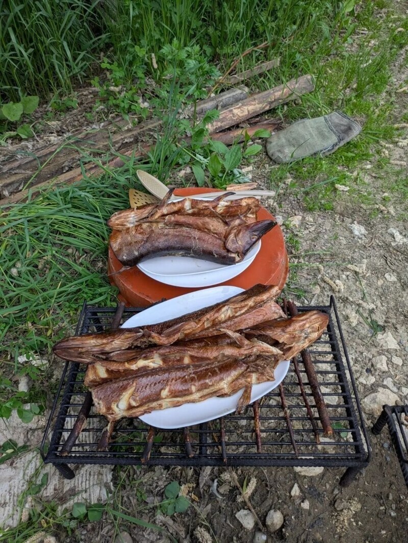 Принес сосед с рыбалки рыбу