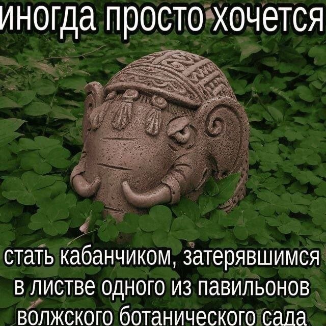 Скрины из соцсетей