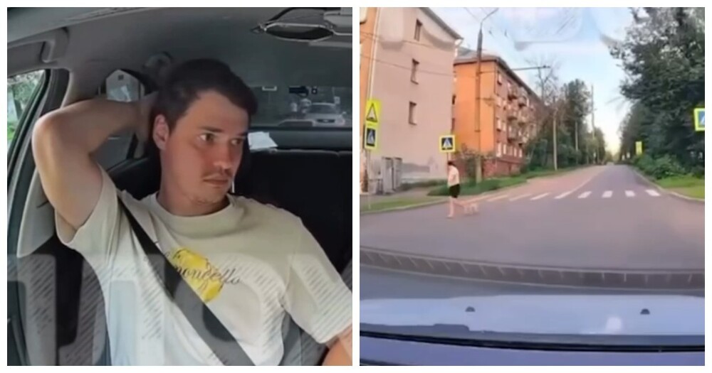 Ученица автошколы заступилась за собаку, которую хозяйка пинала на улице в Ярославле