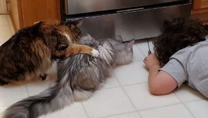 Фотографии, которые еще раз напомнят вам, что жизнь - отличная штука