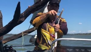 Спасение попавшей в беду цапли