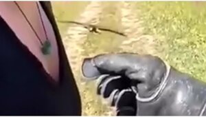 Настоящий пернатый ас