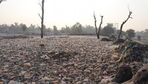 Что на это сказал бы Пушкин?