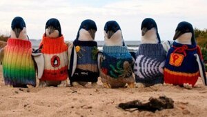 30 коротких историй, от которых ваше сердце растает, как мороженое в жаркий день