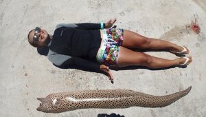 Мурены - могут ли укусить и почему их так любят японки