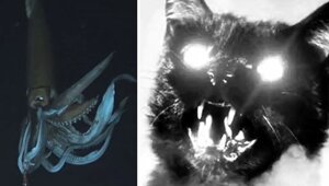 13 жутких фактов, которые не получится забыть при всем желании